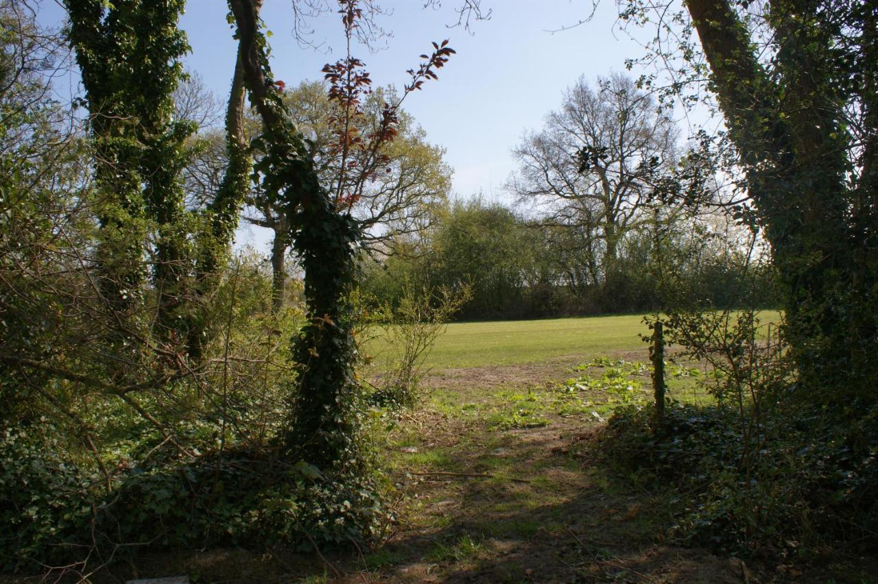 Spacious 4 Bed Family Cottage In Parkland Setting York Eksteriør bilde